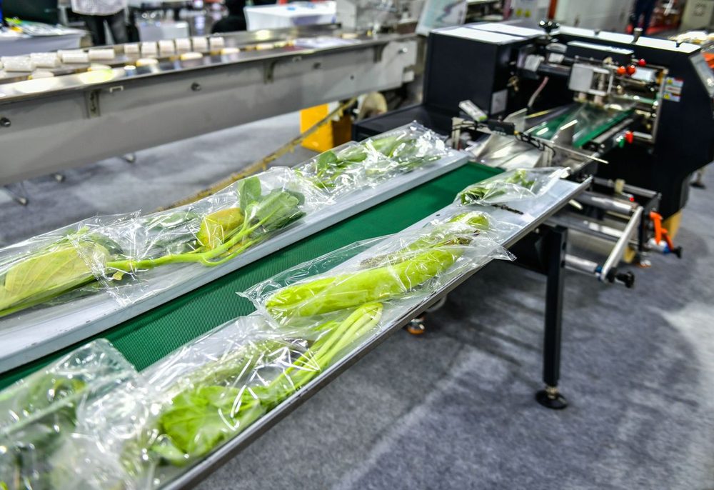 Automated food packaging line for industrial food processing